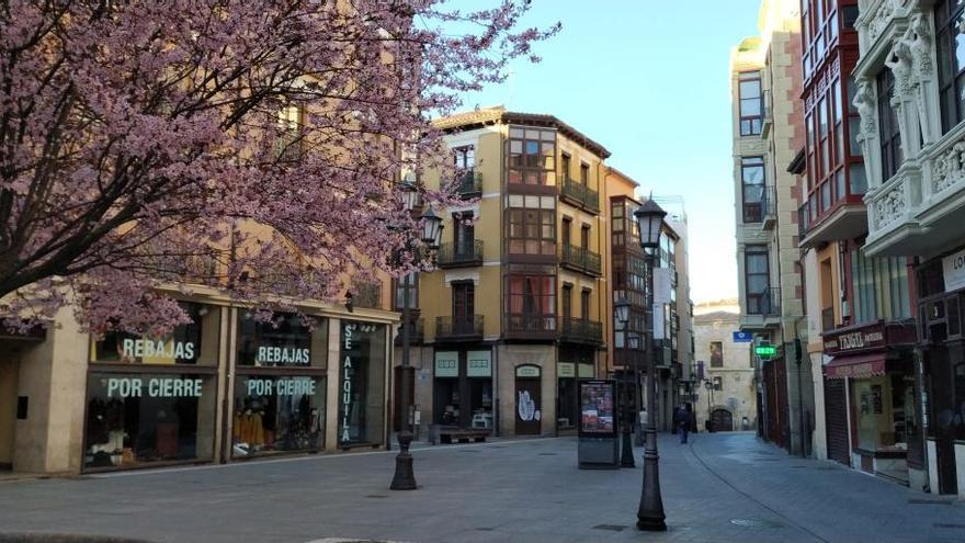 Plaza de Sagasta, esta mañana.