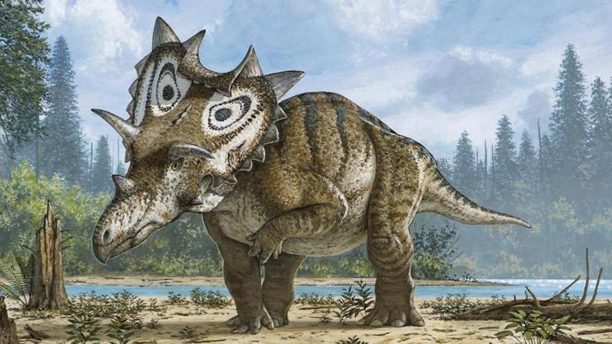 Descubierta una nueva especie de dinosaurio con cuernos y un escudo de púas