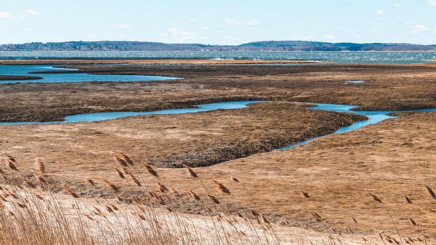 Deseos climáticos para 2023