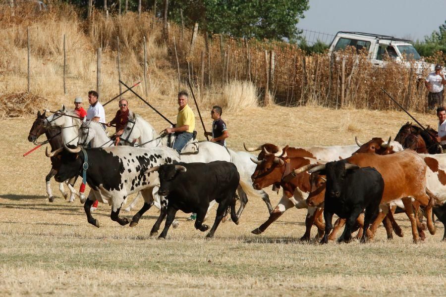 Fiestas en Zamora: Espantes en Fuentelapeña