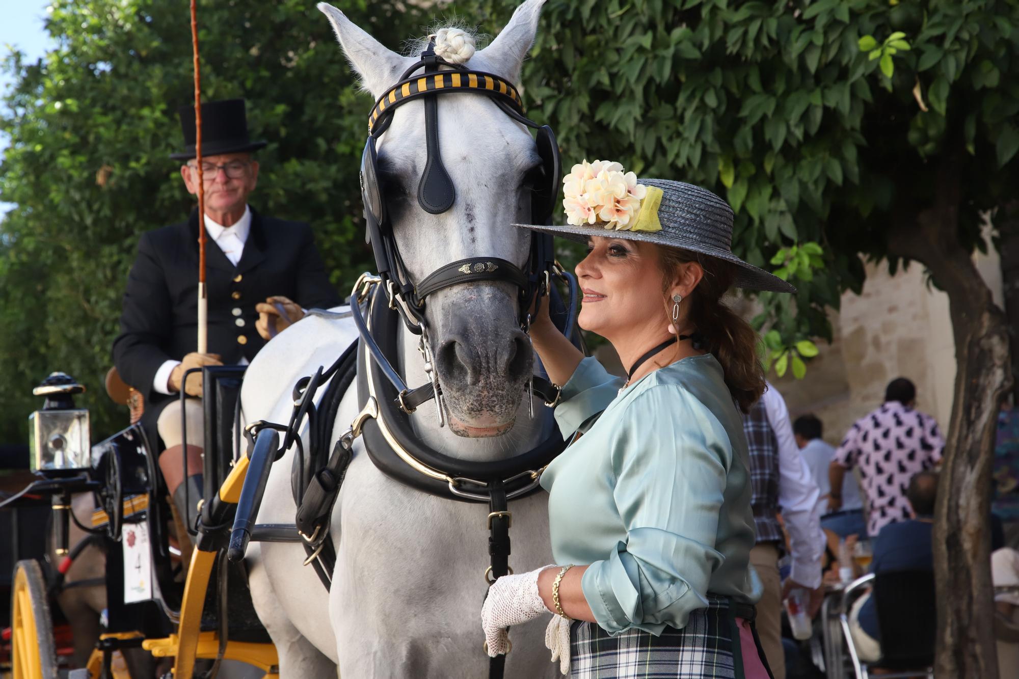 El atalaje de tradición regresa a España