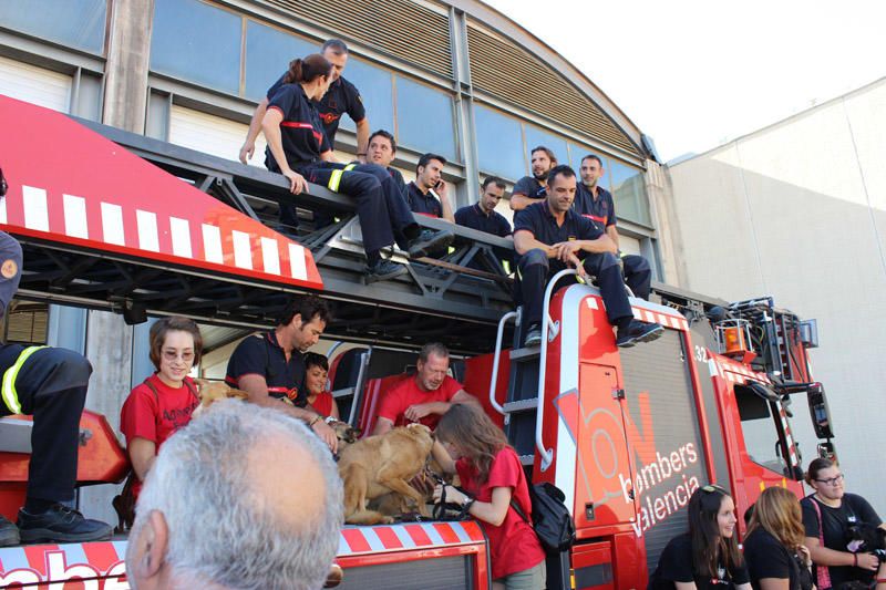 Los Bomberos de Valencia, con la adopción de mascotas