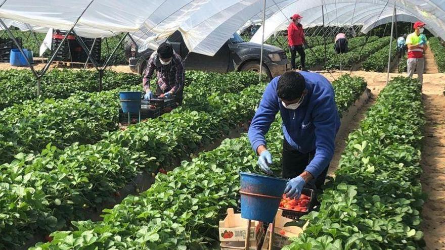 Los inspectores de Trabajo piden un protocolo para evitar contagios de Covid en sus visitas a empresas