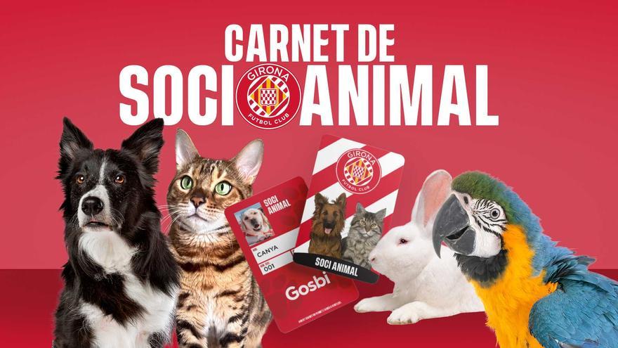 El Girona crea un carnet de soci per a animals de companyia