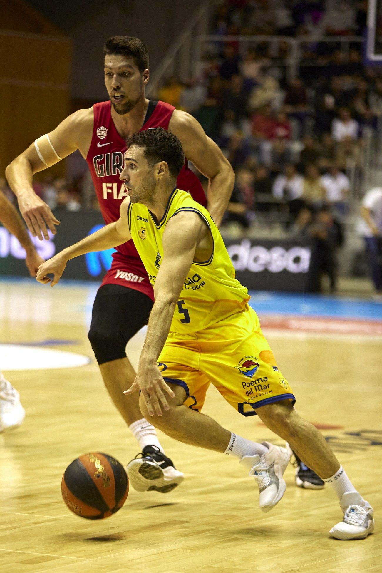 Liga Endesa: Bàsquet Girona - CB Gran Canaria