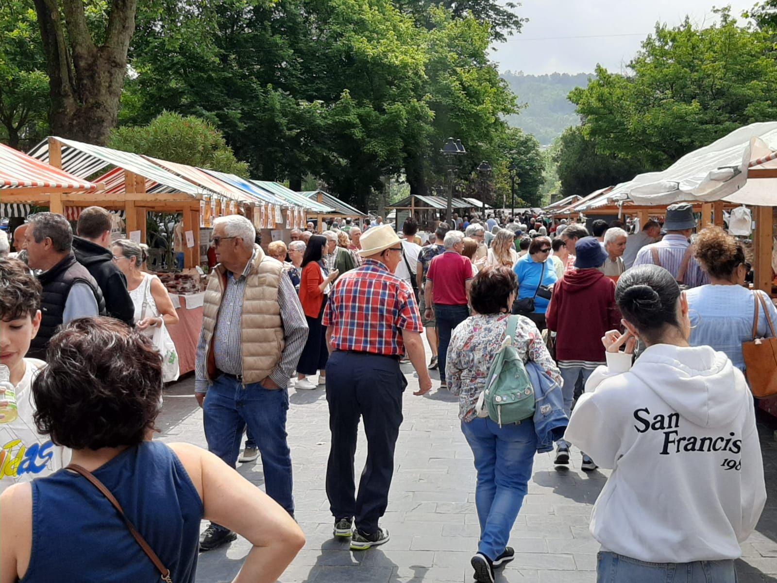 El Mercadón de Primavera y la segunda Flor de Grado, en imágenes
