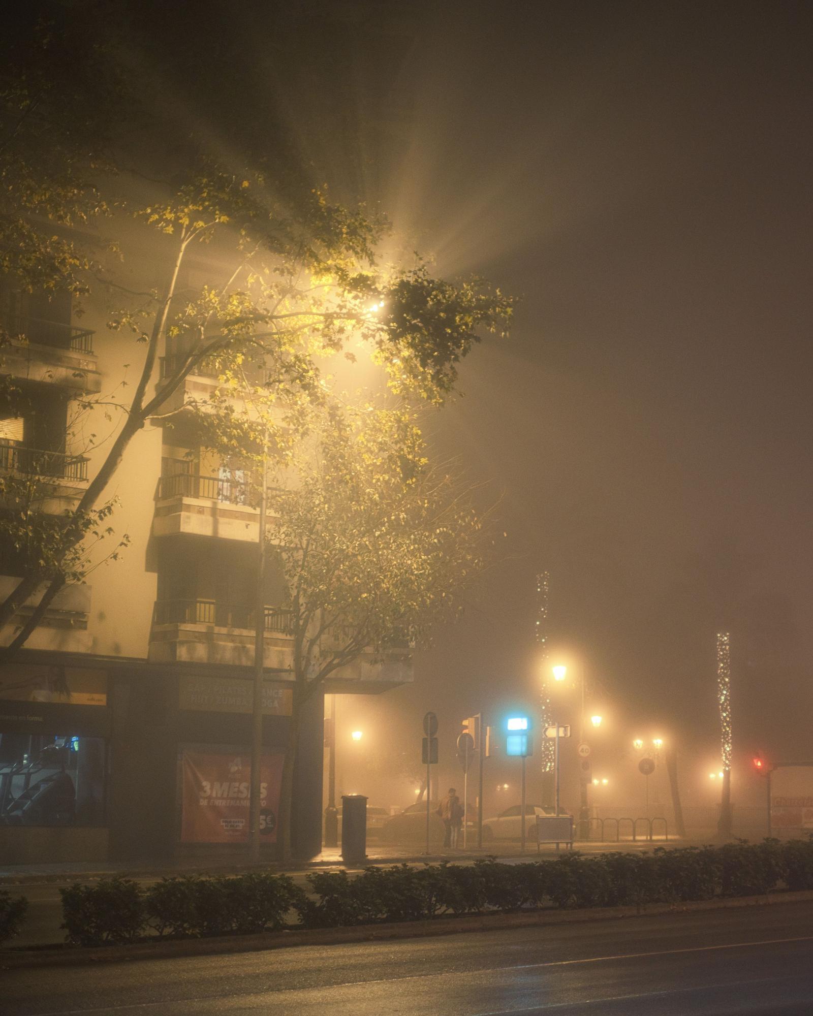 Niebla en Palma durante Nochebuena