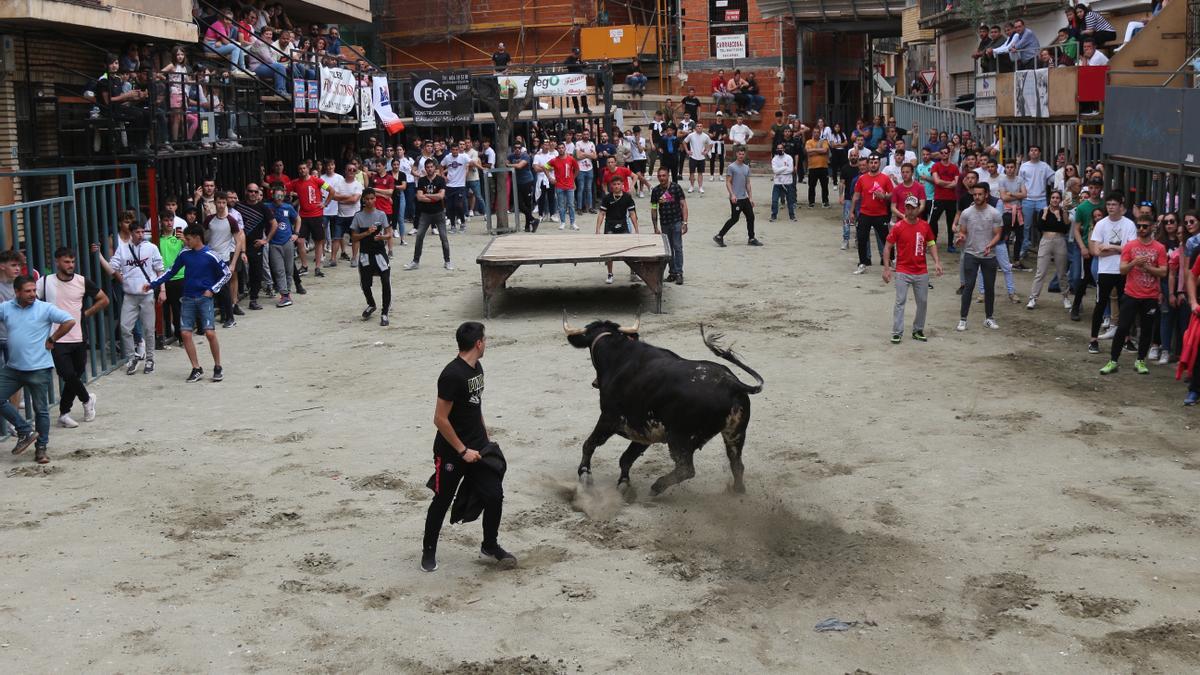 La plaza del Almudín se llenó de público con el regreso de los festejos taurinos.