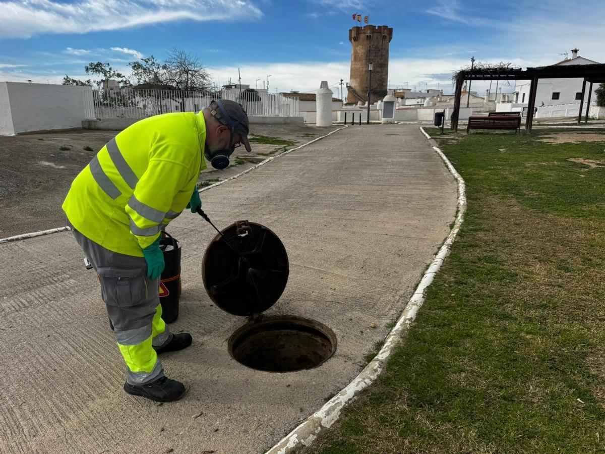 Tratamientos preventivos para el control de plagas en Paterna.