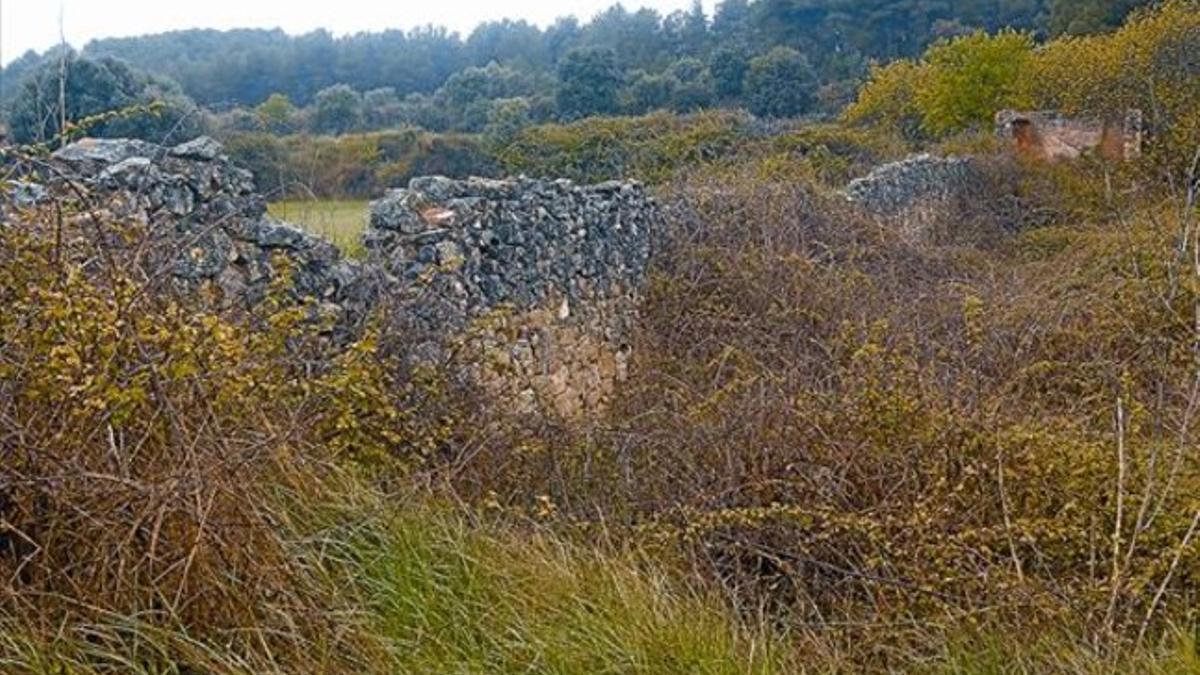 Frente de Gandesa 8 Ruinas del Mas del Pou del Baró, utilizado como hospital de campaña y donde los expertos creen que hay una fosa.