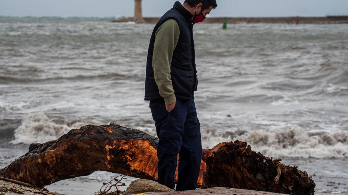 La borrasca Bella provoca grandes destrozos en el Port d'Andratx