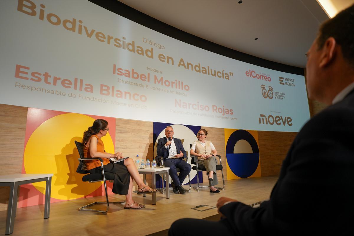 #ElCorreoPregunta con David Toscano, presidente de la Diputación de Huelva