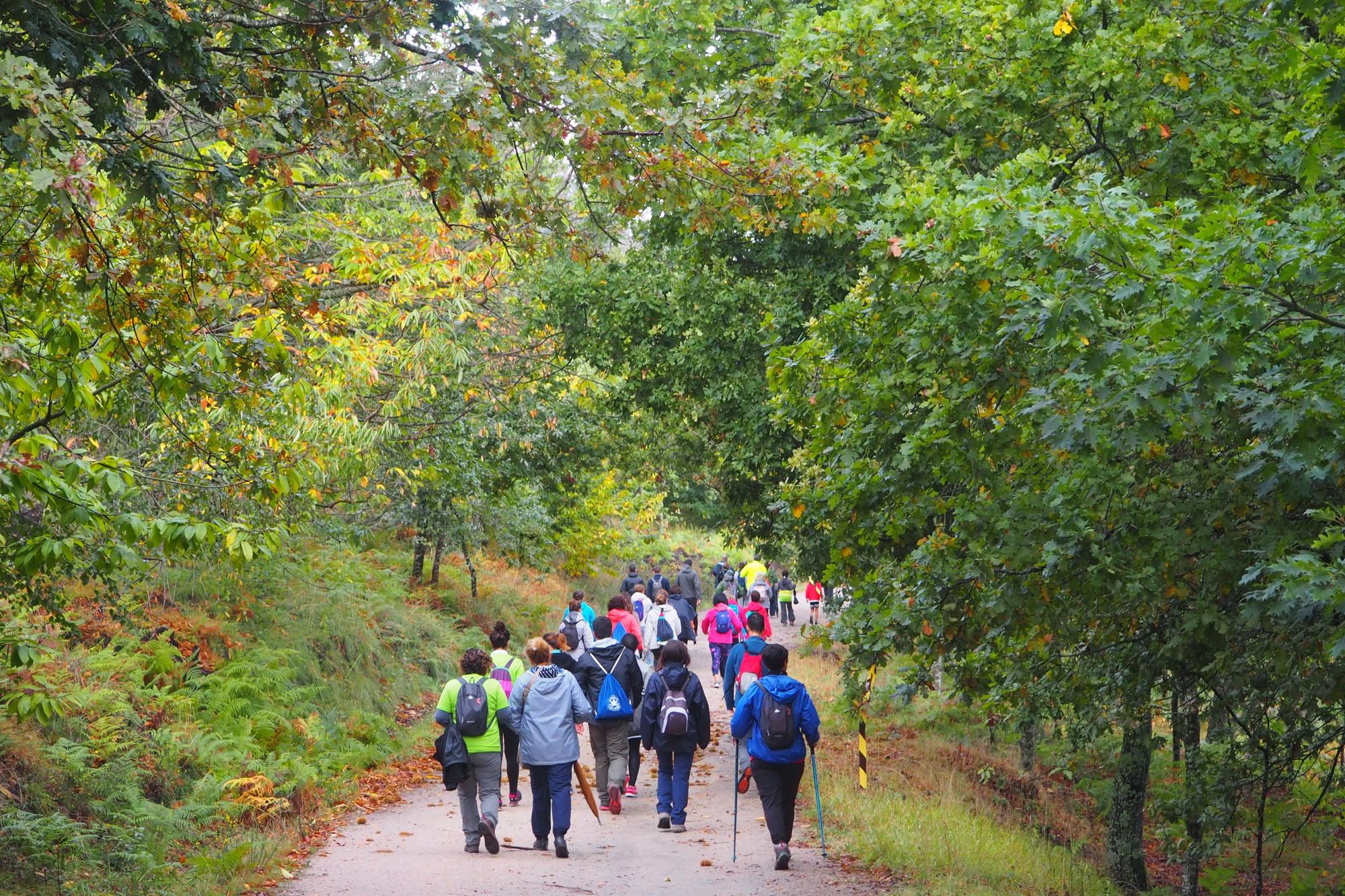 Participantes en la ruta por Coruxo el pasado año en el marco de ‘Camiño a Camiño’ .