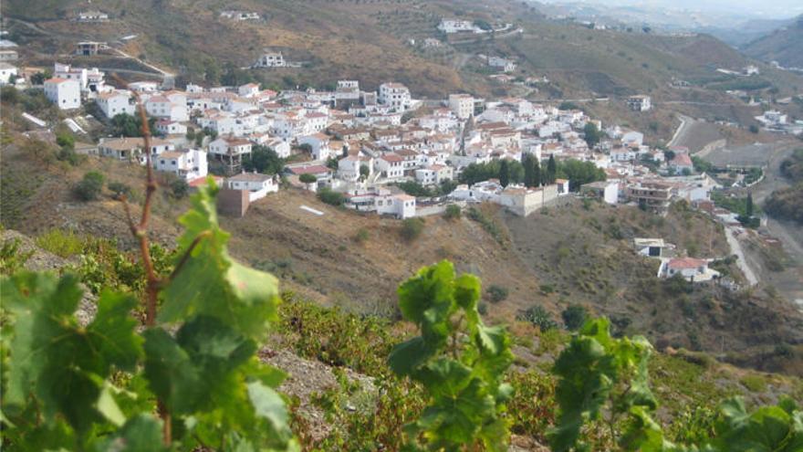 El Borge espera recibir a unas 10.000 personas el domingo para celebrar el Día de la Pasa