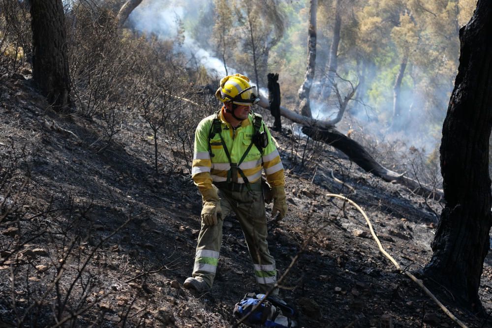 El fuego se inició a última hora de ayer miércoles y ha estado activo toda la noche.