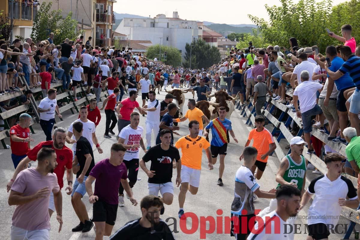 Primer encierro de la Feria del Arroz de Calasparra