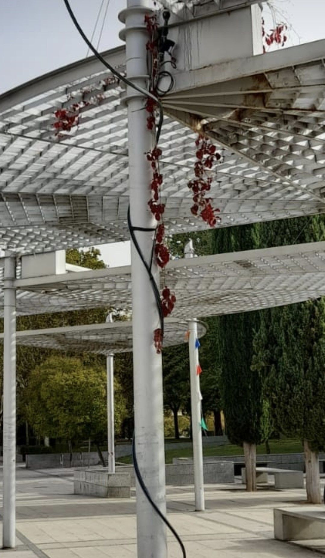 Aspecto de la pérgola.