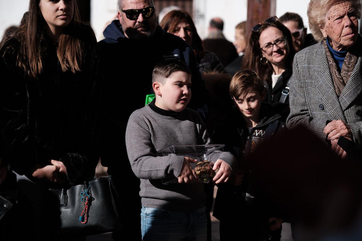 Churriana celebra la bendición de San Antón Churriana celebra la bendición de San Antón