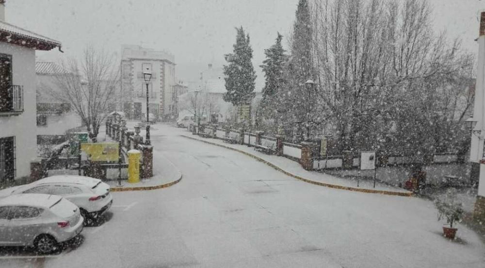 Nieve en Alfarnate.