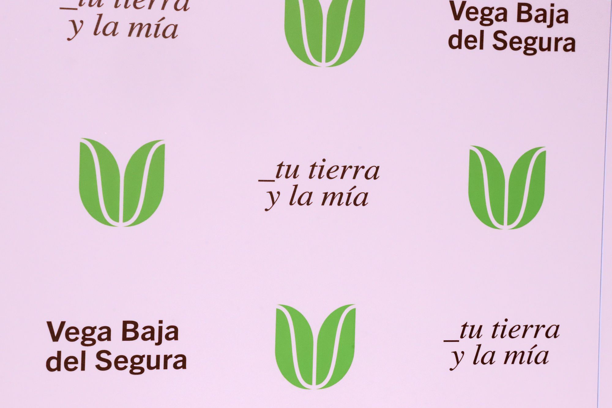 Presentación de la marca Territorio "Vega Baja del Segura" en Cox