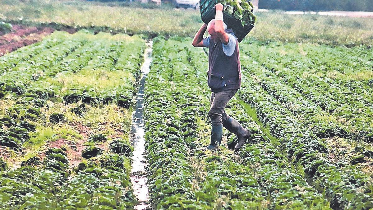 Miles de empleos de la provincia están directamente relacionados con sectores ligados al uso intensivo del agua. información