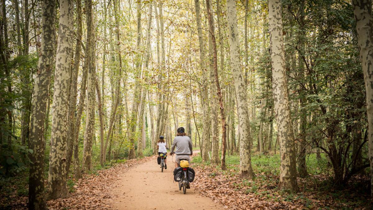 Una imagen de una de las rutas de las Vies Verdes