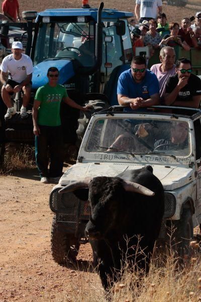 Fiestas en Zamora: Encierro en El Pego