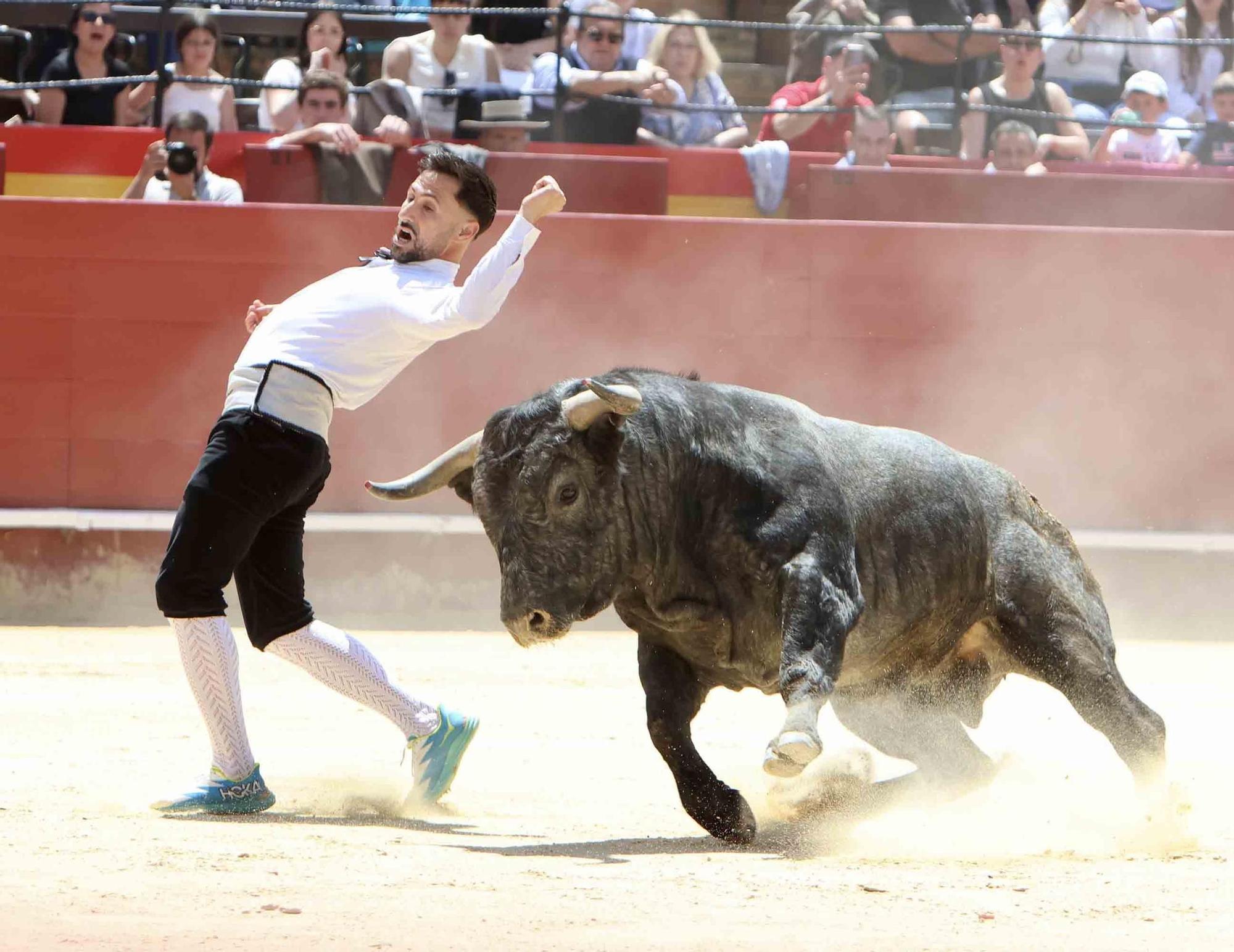 Valencia vive un fin de semana taurino alicantino