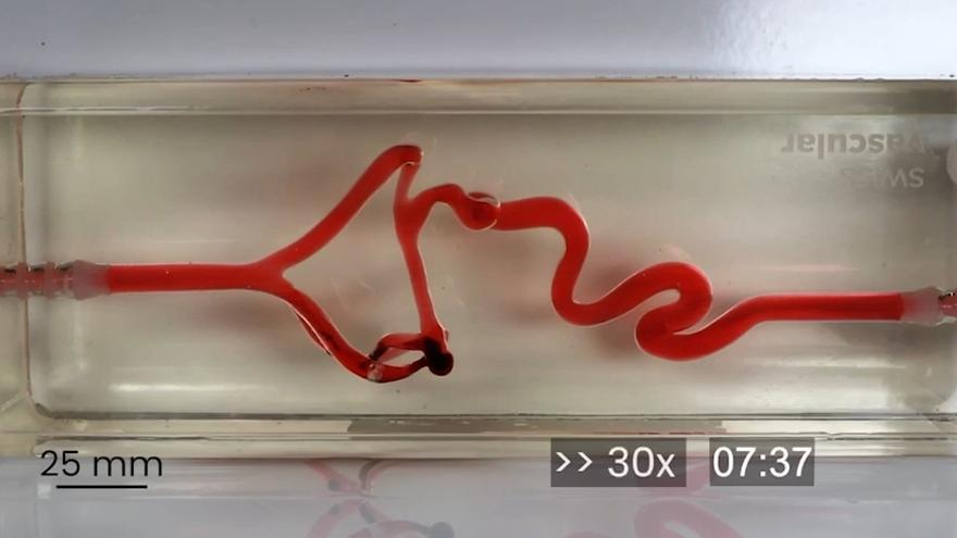 El sistema per alliberar fàrmacs de manera dirigida mitjançant microrobots magnètics simulant el tractament d'un coàgul sanguini