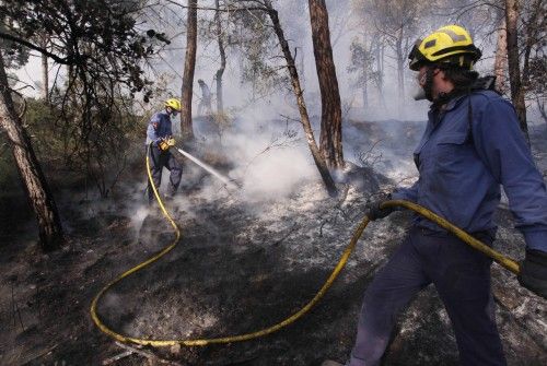 Incendi forestal a peu de les Gavarres