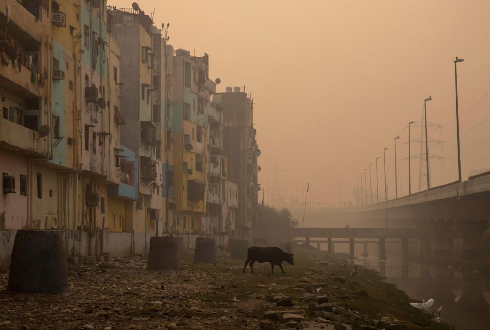 INDIA-POLLUTION/