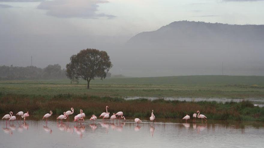 Imagen de la Reserva Natural Lagunas de Campillos.