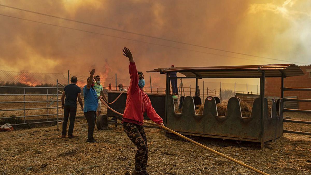 Un grupo de personas interviene en las labores de extinción del fuego de Lober. | Emilio Fraile