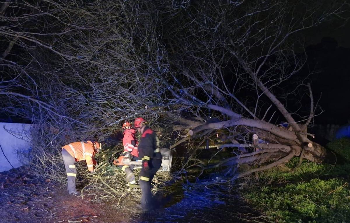 Tareas para retirar el árbol caído sobre un coche en Raxó
