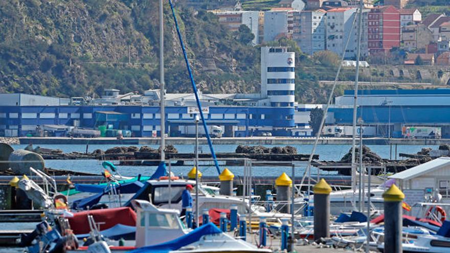 La fábrica de Pescanova, en Chapela. //Marta G. Brea