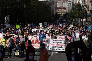 El campo vuelve a la carga: 500 tractores colapsan Oviedo con "purines, impuestos y burocracia"