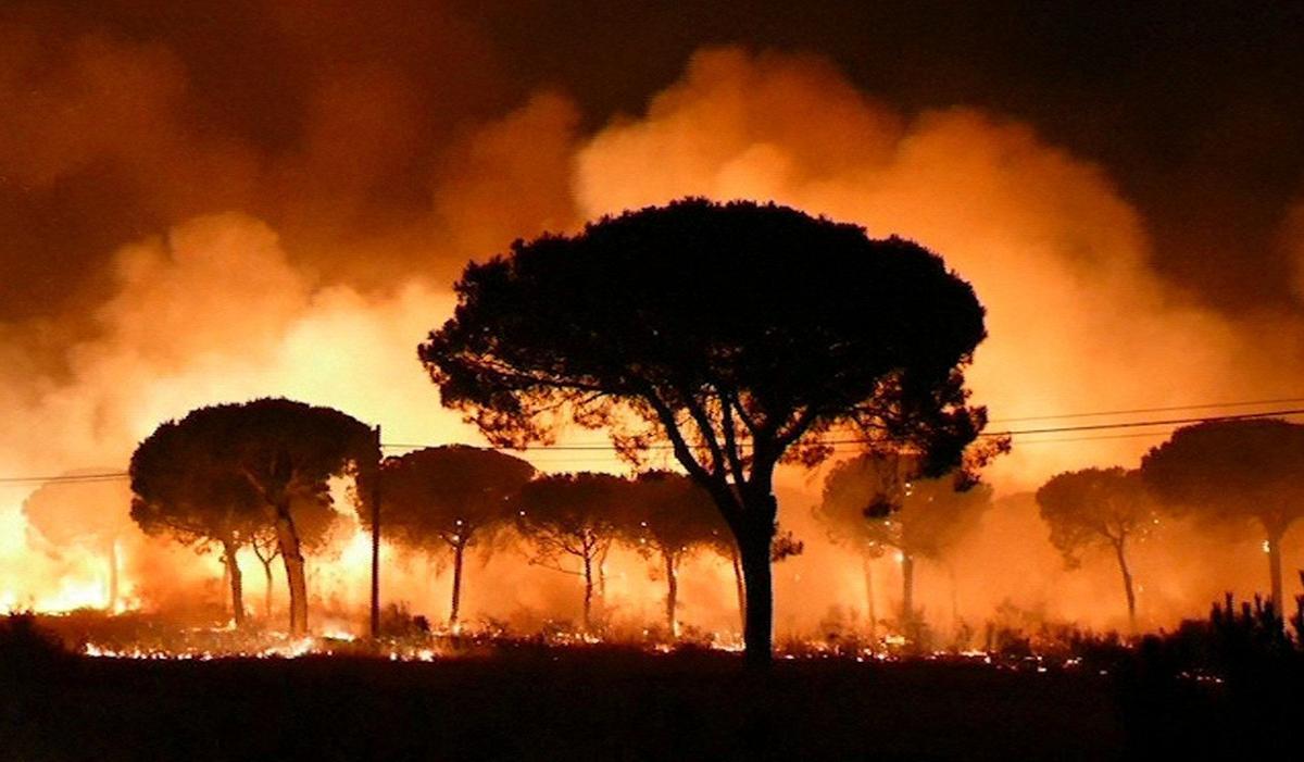 Imagen de EFE Televisión del incendio declarado en junio de 2017 en el paraje Las Peñuelas de Moguer (Huelva).