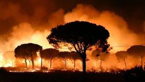 Imagen de EFE Televisión del incendio declarado en junio de 2017 en el paraje Las Peñuelas de Moguer (Huelva).