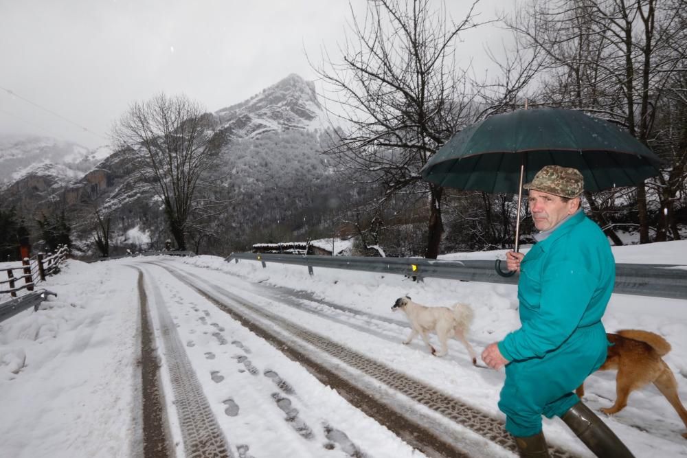 Temporal de nieve en Viego (Ponga)