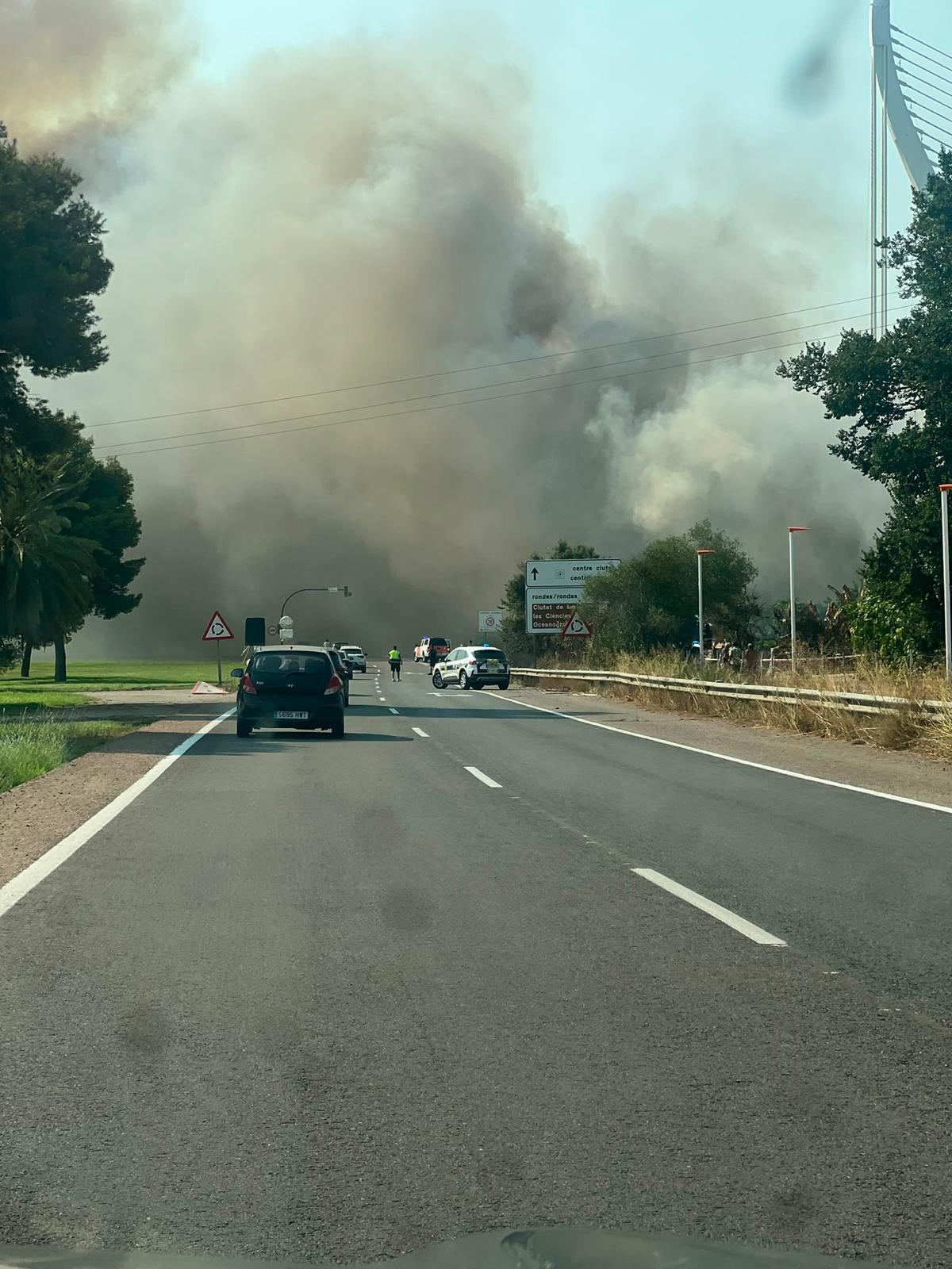 Un aparatoso incendio junto al Oceanogràfic y la autovía del Saler obliga a cortar el tráfico de entrada y salida a la ciudad