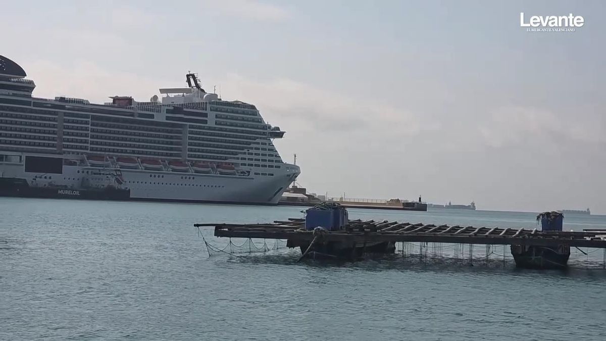 Así son las bateas de "clòtxina" en el Puerto de València