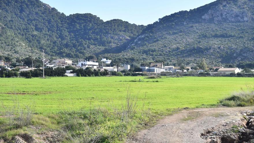 Proyectan nuevas plantas solares en Los Belones junto a un paraje protegido