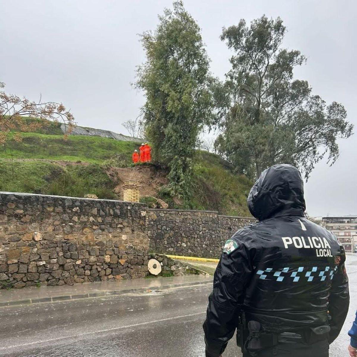 Personal del Ayuntamiento de Puente Genil vigila el riesgo de caída de árboles de gran porte, principalmente en zonas con riesgo de desprendimientos.