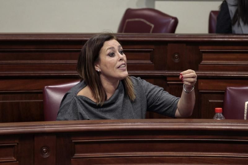 Pleno del Parlamento de Canarias