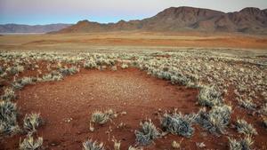 Formaciones de ’círculos de las hadas’ en el desierto de Namibia.