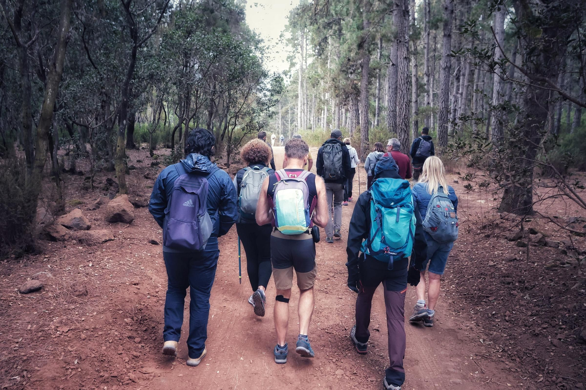 Tercera edición del Biomaratón de Flora Española, en el Parque Recreativo La Caldera, La Orotava