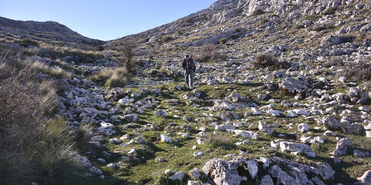 Sendero Pilas del Señorito, la ruta circular de Málaga perfecta para realizar en familia este otoño