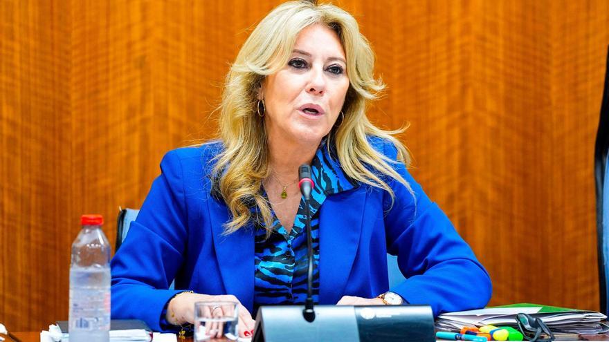 Andalucía moviliza 75 millones para apoyar a los municipios y al campo