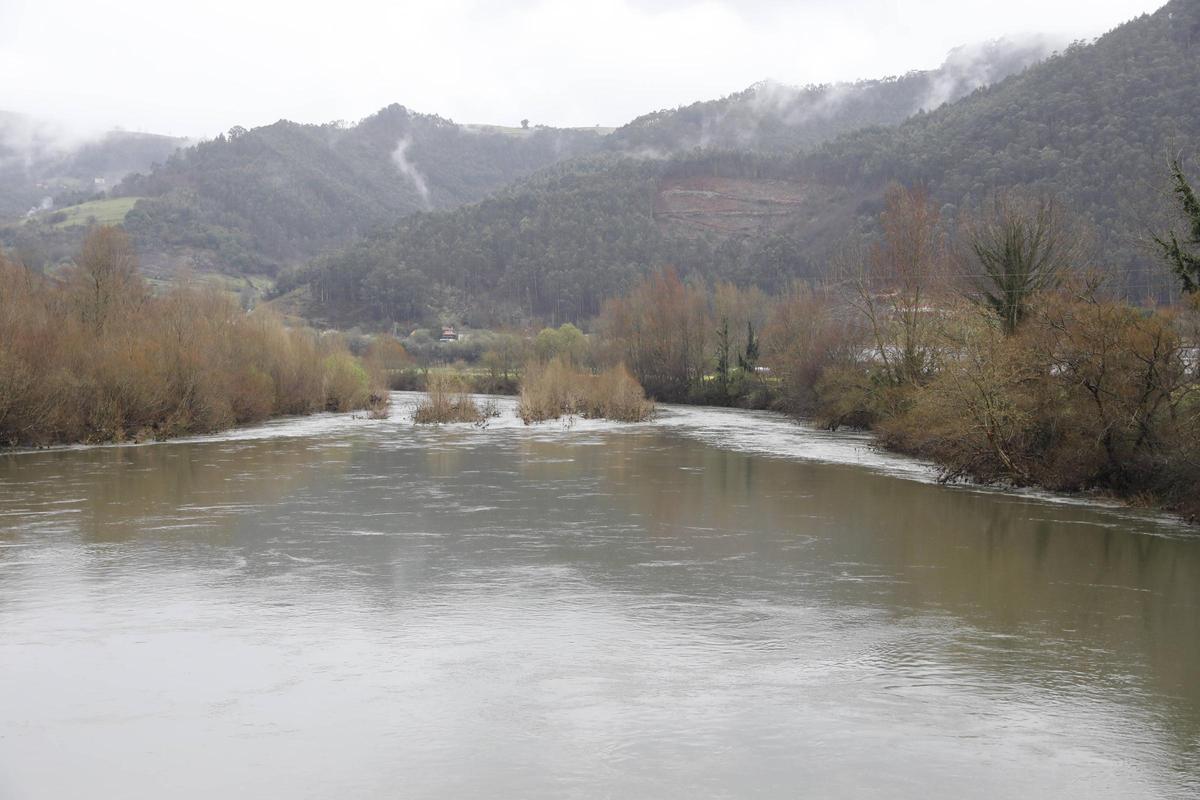 El Nalón visto desde el puente peatonal de Santianes en la dirección de Peñaullán y Riberas.