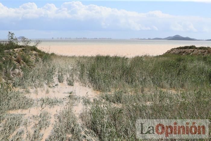 Limpian Los Alcázares tras las fuertes lluvias de los últimos días